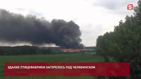 Пожар 17 июня в цехе птицефабрики под Челябинском